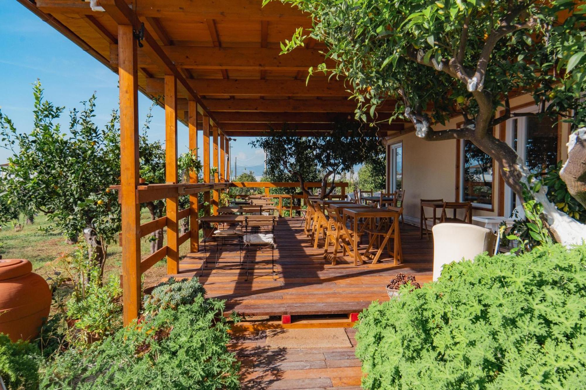 Casolare Country House Sperlonga Exterior foto